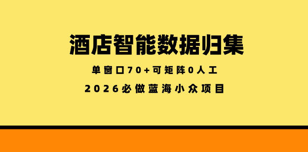 酒店智能数据归集，小众蓝海已经稳定半年之久，单窗口70+零成本矩阵开干-初遇资源网
