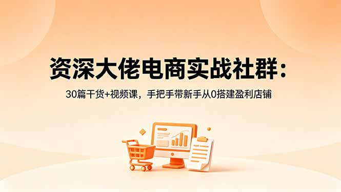 资深大佬电商实战社群:30篇干货+视频课,手把手带新手从0搭建盈利店铺-初遇资源网
