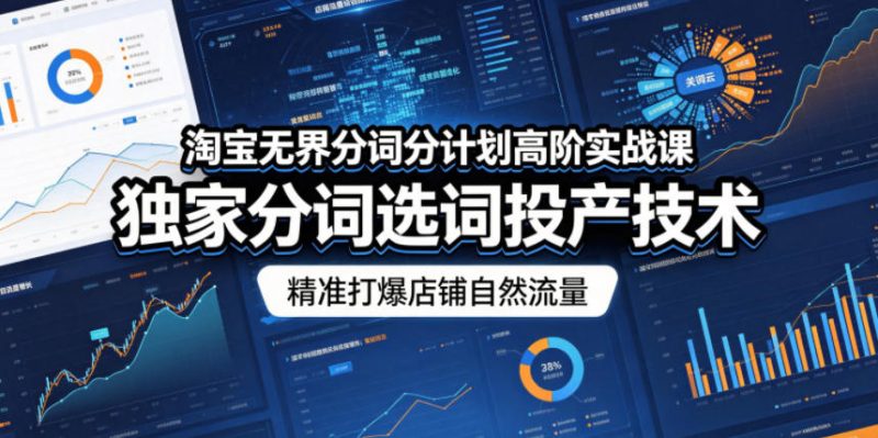 淘宝无界分词分计划高阶实战课,独家分词选词投产技术,精准打爆店铺自然流量-初遇资源网