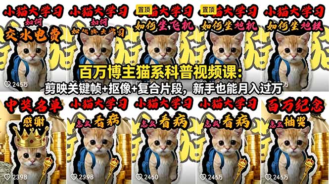 百万博主猫系科普视频课:剪映关键帧+抠像+复合片段,新手也能月入过万-初遇资源网