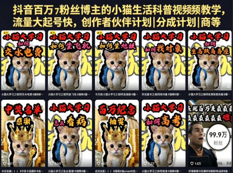 抖音百万粉丝博主的小猫生活科普视频教学，流量大起号快，创作者伙伴计划|分成计划|商单|收徒等-初遇资源网