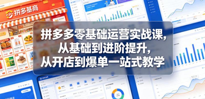 拼多多零基础运营实战课,从基础到进阶提升,从开店到爆单一站式教学-初遇资源网