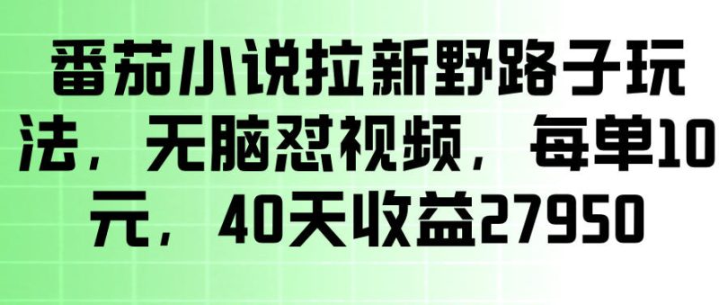 番茄小说拉新野路子玩法,无脑怼视频,玩法简单、见效快,每单10米,40天收益27950-初遇资源网