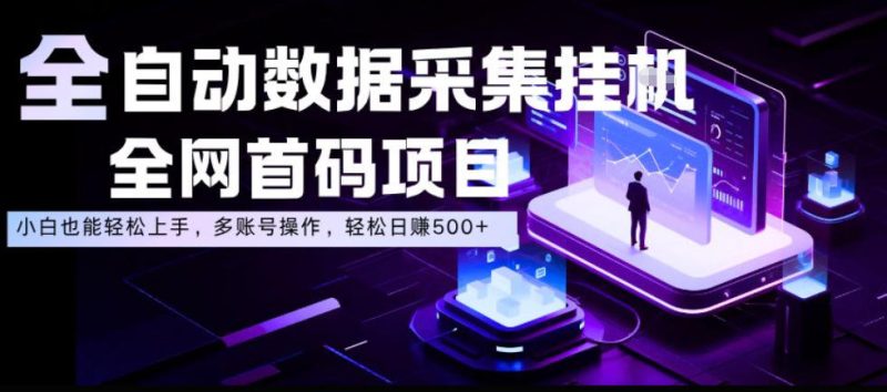 全自动数据采集挂G,全网首码项目,简单易操作,小白也能轻松上手,多账号操作,轻松日入500+-初遇资源网