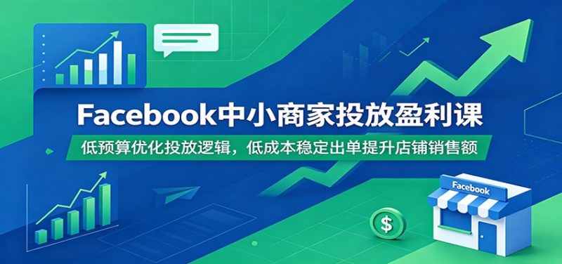 Facebook中小商家投放盈利课：低预算优化投放逻辑，低成本稳定出单提升店铺销售额-初遇资源网