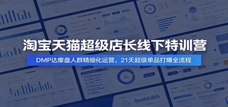 淘宝天猫超级店长线下特训营：DMP达摩盘人群精细化运营，21天超级单品打爆全流程-初遇资源网