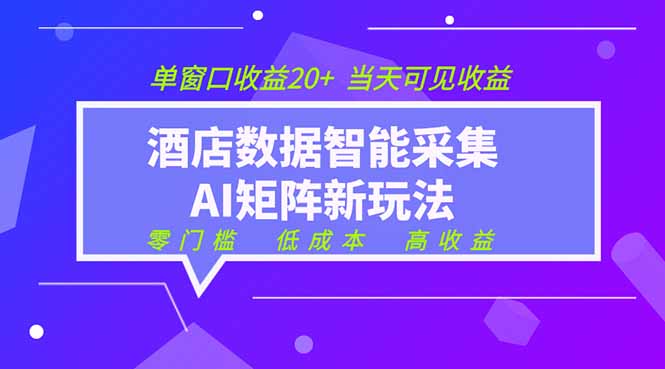 【中创网】2026酒店数据采集ai智能矩阵新风口  低成本   高收益   当天见收益   单窗口20+ - 初遇资源网