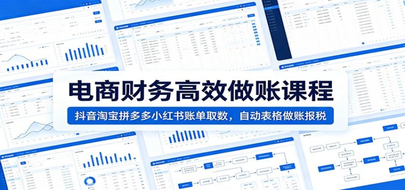 电商财务高效做账课程:抖音淘宝拼多多小红书账单取数,自动表格做账报税-初遇资源网