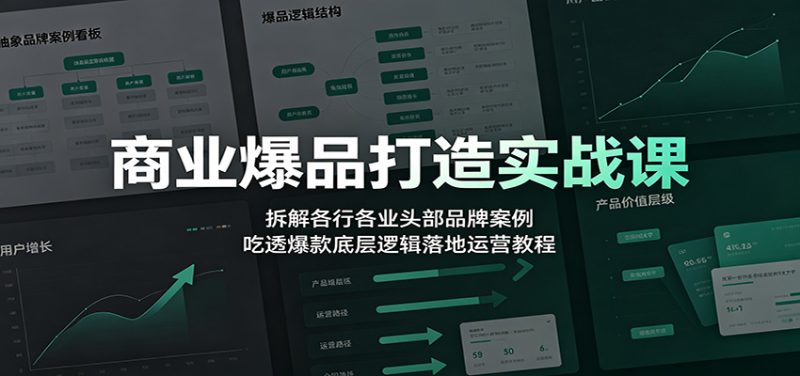 商业爆品打造实战课：拆解各行各业头部品牌案例，吃透爆款底层逻辑落地运营教程-初遇资源网