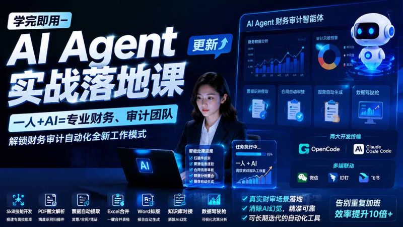 学完即用—AI Agent实战落地课-更新:一人+AI=专业财务、审计团队,解锁财务审计自动化全新工作模式-初遇资源网