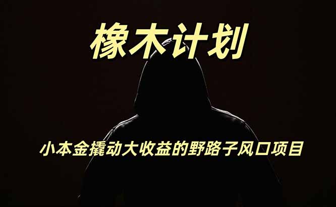 橡木计划,小投入撬动高回报的风口野路子项目,一天投入2小时左右-初遇资源网