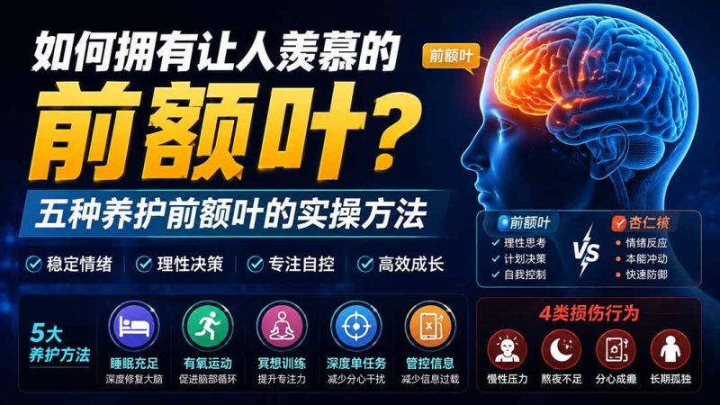 付费文章：如何拥有让人羡慕的前额叶？五种养护前额叶的实操方法-初遇资源网