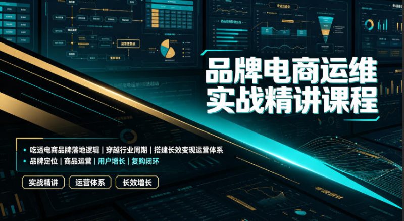品牌电商运维实战精讲课程|吃透电商品牌落地逻辑、穿越行业周期、搭建长效变现运营体系-初遇资源网