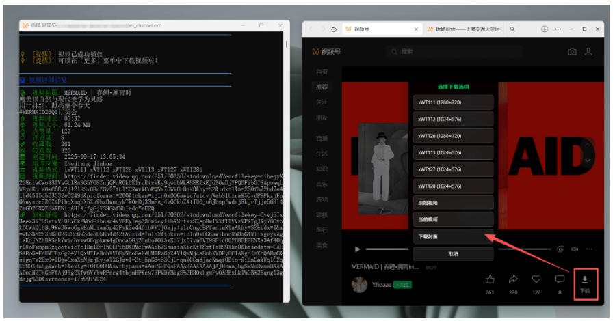 Github热门工具，视频号下载神器又来了！一键注入下载按钮，轻松下载，使用便捷wx