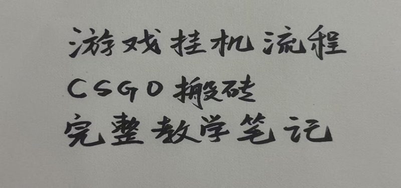 游戏挂机全流程笔记分享,CSGO游戏搬砖,小白看了当天学会见收益-初遇资源网