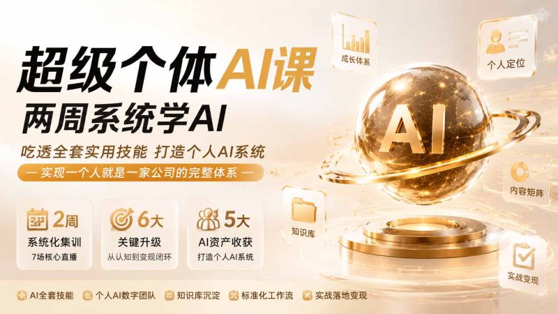 超级个体AI课 两周系统学AI;吃透全套实用技能打造个人AI系统,实现一个人就是一家公司的完整体系(更新0823)-初遇资源网