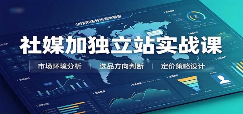 社媒加独立站实战课：市场环境选品定价，社媒运营建站，私域网红营销教学-初遇资源网