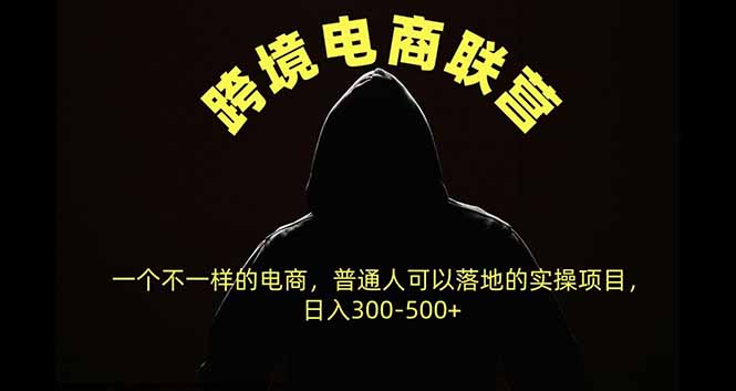 跨境电商联营，一个不一样的电商，普通人可操作日入300-500+ - 中创网